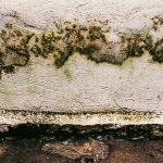 Dicas práticas para…